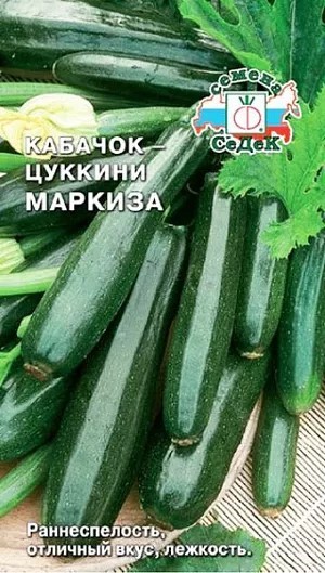Кабачок Маркиза цуккини 2г Седек
