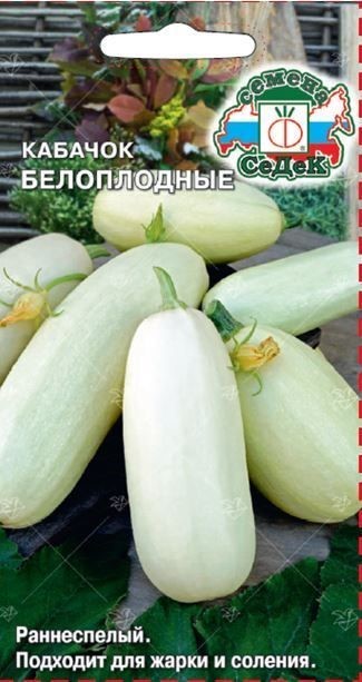 Кабачок Белоплодные 13 Седек