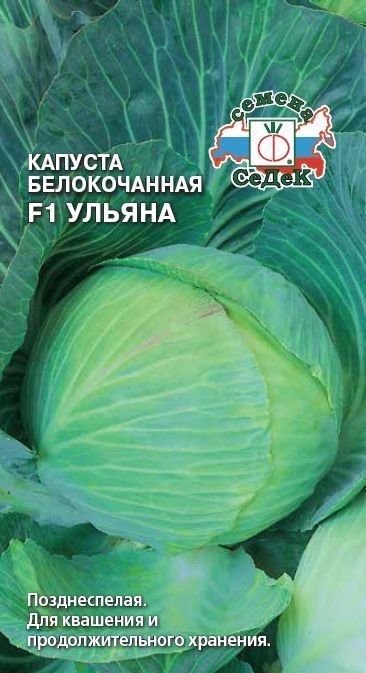 Капуста Ульяна F1 (Б/К) Седек