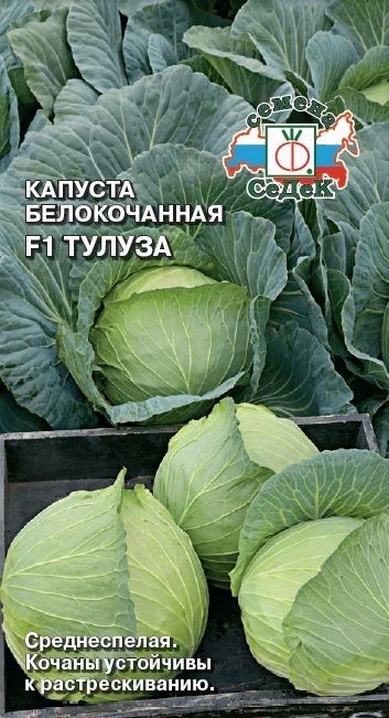 Капуста Тулуза® F1 (Б/К) Седек