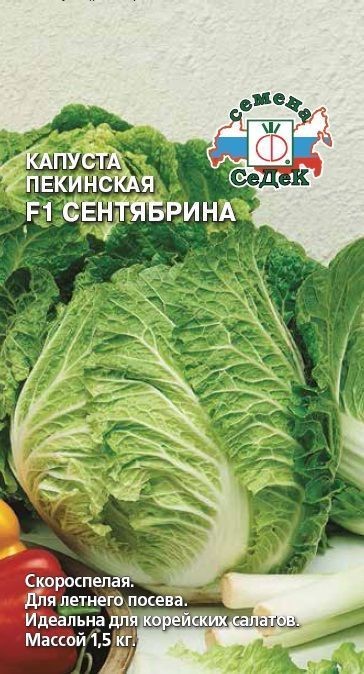 Капуста Сентябрина F1 (ПЕК) Седек