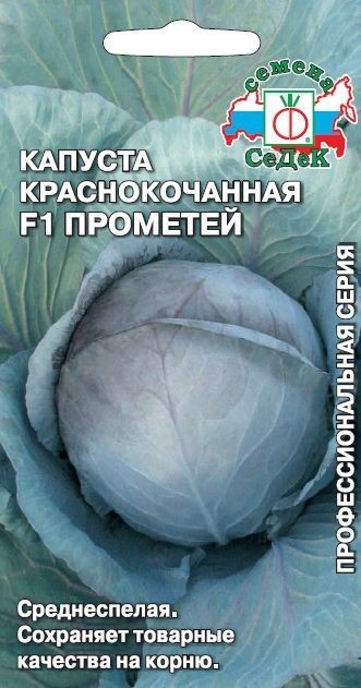 Капуста Прометей ® F1 (К/К) Седек