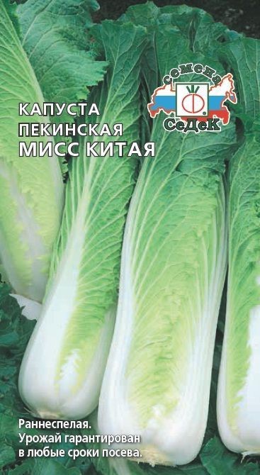 Капуста пекинская Мисс Китая (СеДек)