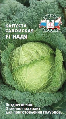 Капуста Надя (САВ) Седек