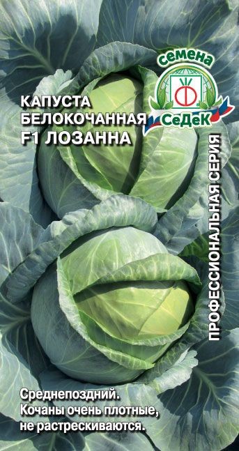 Капуста Лозанна F1 (б/к) Седек