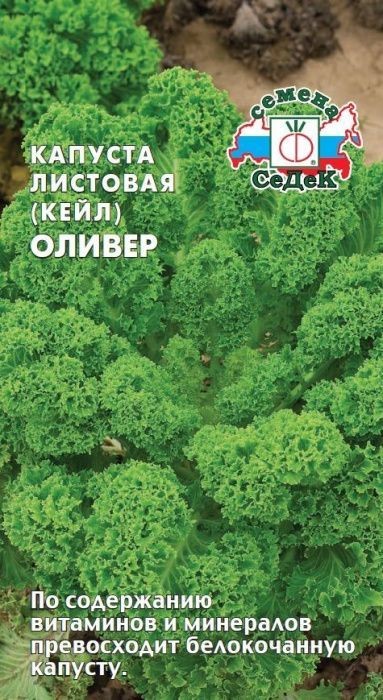 Капуста листовая Оливер 0,3гр Седек