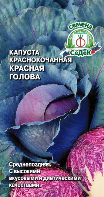 Капуста Красная голова (К/К) Седек