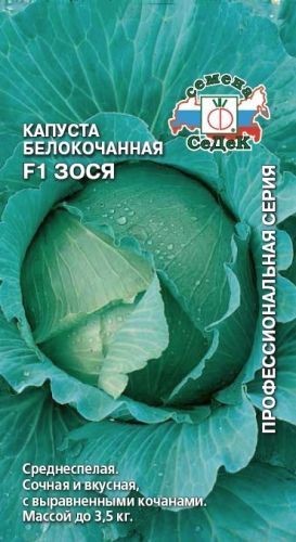 капуста Зося F1 (Б/К) Седек
