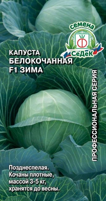 Капуста Зима F1 (Б/К) Седек