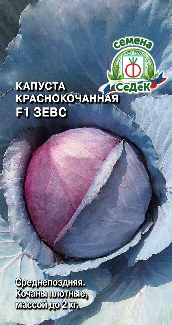 Капуста Зевс F1 Седек