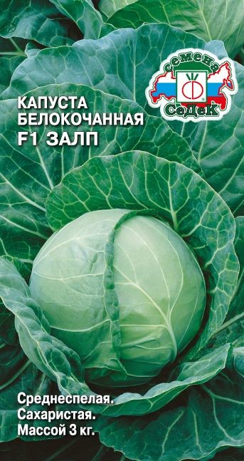 Капуста Залп F1 (Б/К) Седек