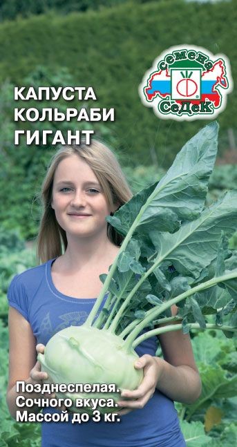 Капуста Гигант (КОЛЬ) Седек