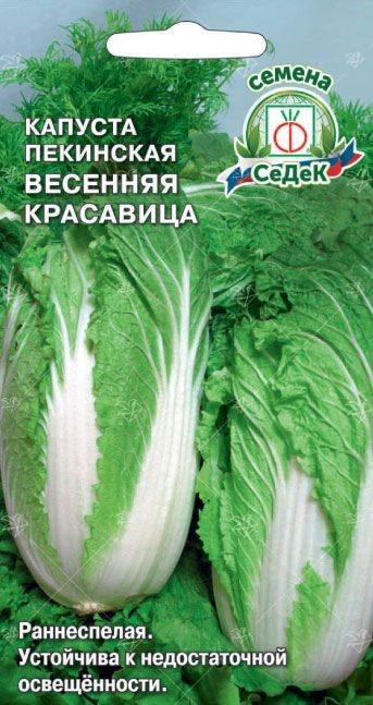 Капуста Весенняя Красавица (ПЕК) Седек