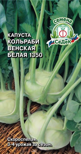 Капуста Венская белая 1350 (КОЛЬ) Седек