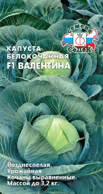 Капуста Валентина F1 (Б/К) Седек