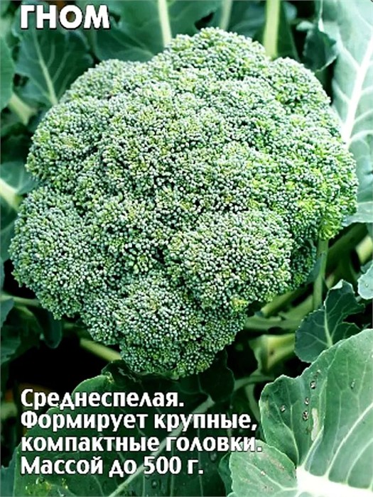 Капуста броколли Гном 0,5гр Седек