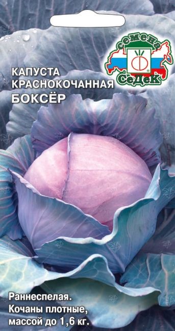 Капуста Боксёр (К/К) Седек