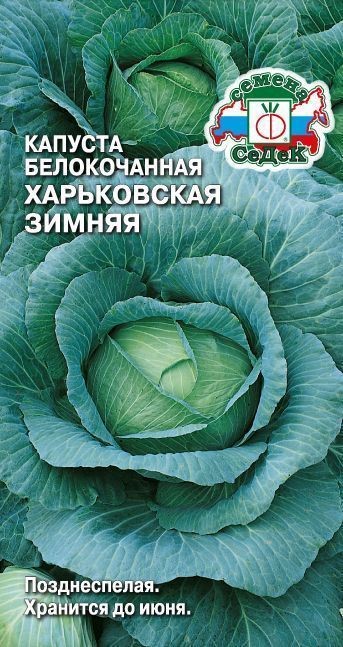 Капуста б/к Харьковская зимняя 0,5гр Седек