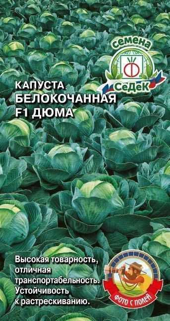 Капуста б/к Дюма F1 0,1гр СеДек