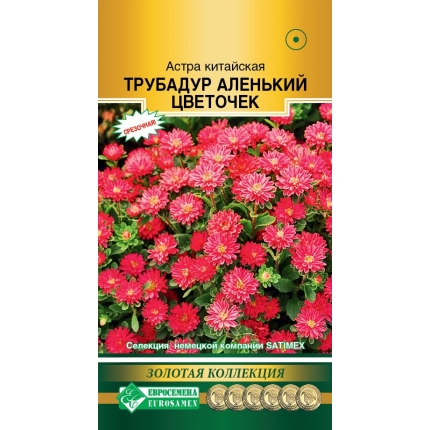 Астра Трубадур Аленький цветочек (Евро Б)
