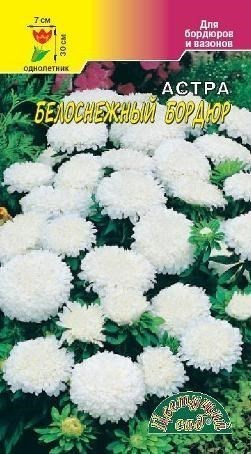 Астра Бордюр Белоснежный ЦветCад Ц