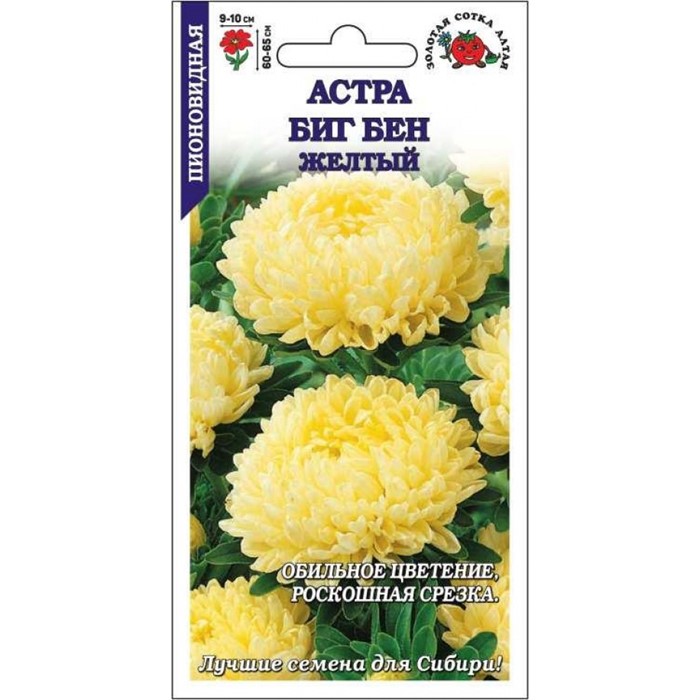 Астра Биг Бен желтый (Золотая сотка)