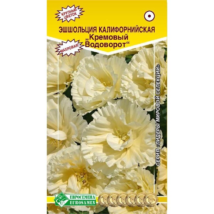 Эшшольция Кремовый водоворот(Евро Б)