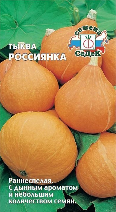 Тыква Россиянка 2г Седек
