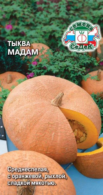 Тыква Мадам 2г Седек
