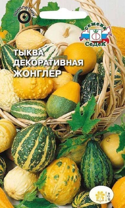 Тыква Жонглер (декоративная) Седек