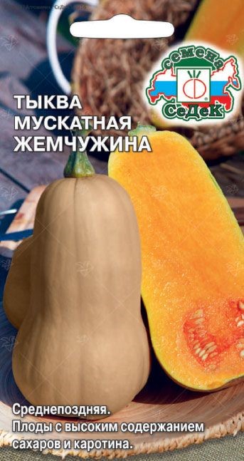 Тыква Жемчужина(мускатная) Седек