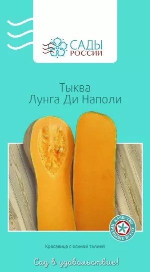 Тыква Длинная из Неаполя мускатная (Lunga Di Napoli) 4 шт