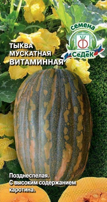 Тыква Витаминная мускатная 2г Седек