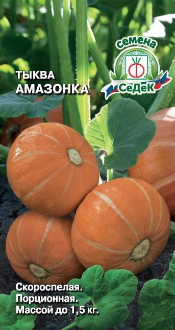 Тыква Амазонка Седек