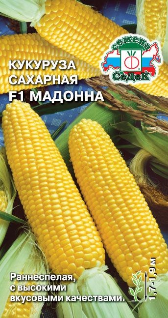 Кукуруза Мадонна F1 (сахарная) Седек