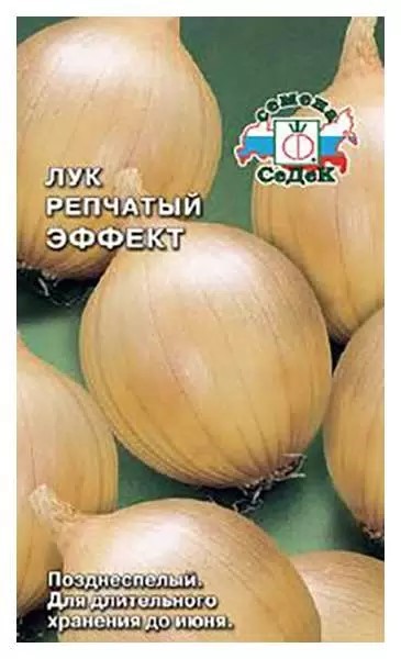Лук Эффект (репч.) Седек