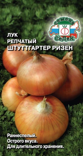 Лук Штуттгартер Ризен (репч.) Седек