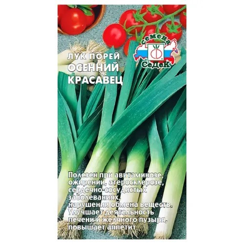 Лук Осенний Красавец (ПОР) Седек