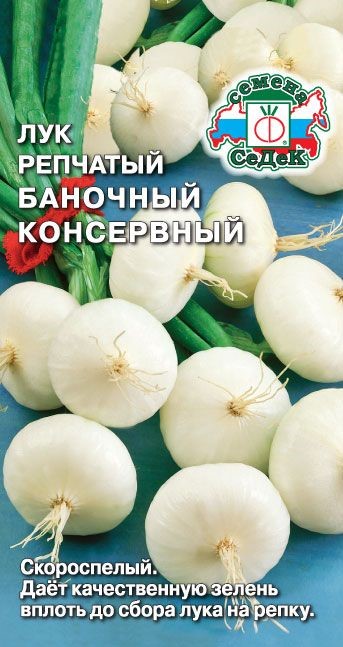 Лук Баночный консервный (репч.) Седек