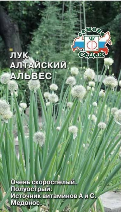 Лук Альвес алтайский 0,3г Седек