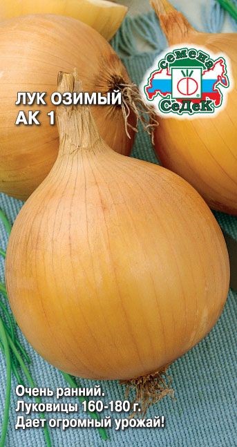 Лук АК1 (репч.) Седек