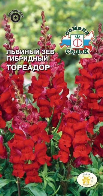 Львиный зев Тореадор F1 (высокий, темно-красный) Седек
