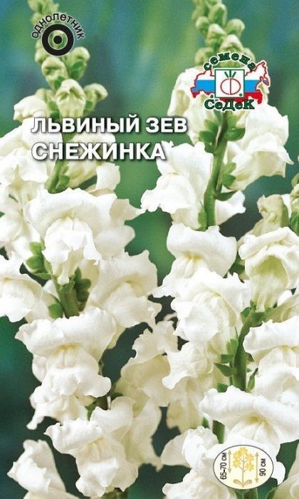 Львиный зев Снежинка 0,1гр Седек