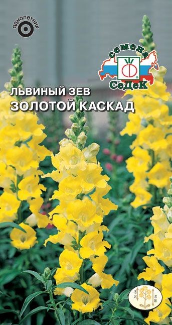 Львиный зев Золотой Каскад (высокий, желтый) Седек