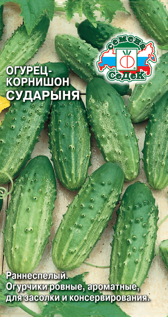 Огурец-корнишон Сударыня 0,3г Седек