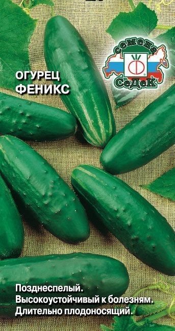 Огурец Феникс Седек