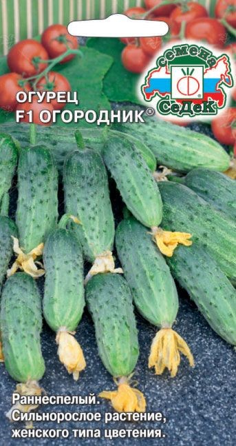 Огурец Огородник F1 0,3г Седек
