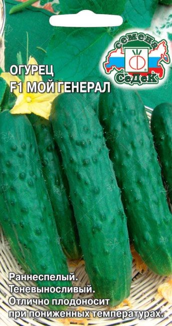 Огурец Мой Генерал F1 0,2г Седек