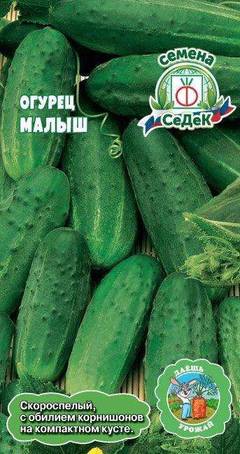 Огурец Малыш о/г Седек