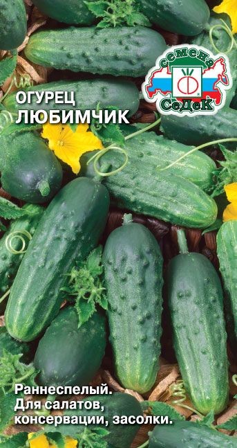 Огурец Любимчик Седек